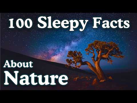 The Most Relaxing Nature Facts to Fall Asleep To