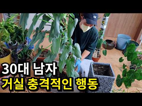 🍃Growing Plants at Home🌲🔥The Execution of Leftovers🔥