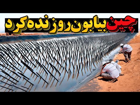 چین با یه روش ساده و عجیب، بیابونش رو تو یه سال طوری به جنگل تبدیل کرد که جهان شوکه شد!