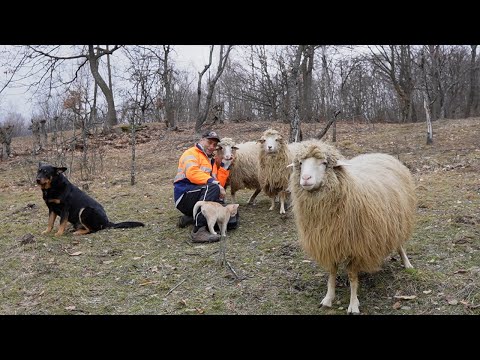 The life of a famous sculptor deep in the mountains