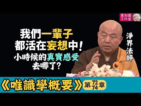 我們一輩子活在妄想中，小時候的真實感受去哪了？ | 唯識學 72~74 #淨界法師