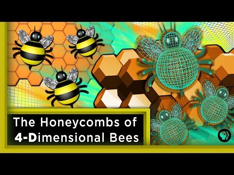 The Honeycombs of 4-Dimensional Bees ft. Joe Hanson | Infinite Series