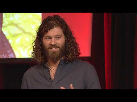What I Learned from the Maori | Koos Wabeke | TEDxWassenaar