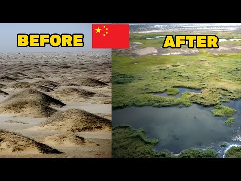 Beating Back the Desert: How China Revived a Lake That Vanished for 51 Years