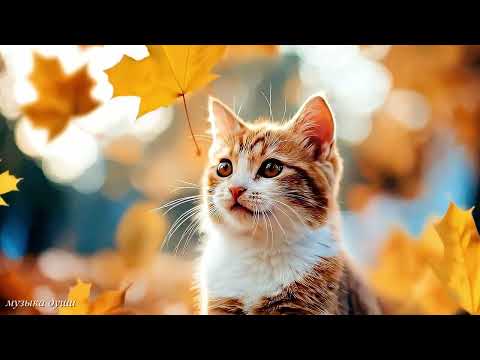 Осенняя Мелодия Любви 🍁 Три месяца я слушала только эту музыку. Слушайте и прочувствуйте эти мелодии