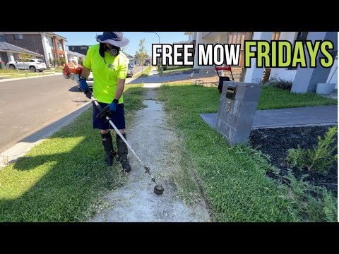 He thought I was a COUNCIL WORKER here to clean up! Free Mow Fridays! #satisfying