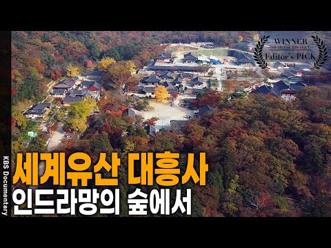 산속에 이처럼 절이 많고 아름다운 나라는 없다! 세계유산에 등재된 땅끝 두륜산 산사 순례 [Editor's PICK] | KBS 20190912 방송