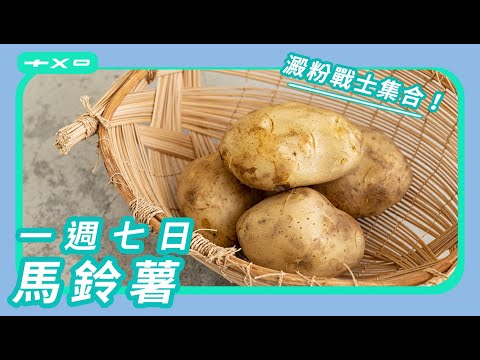 【一週七日馬鈴薯】來了！每一道都想變成拿手菜！氣炸脆皮薯角、肉醬起司馬鈴薯醋溜土豆絲、西班牙馬鈴薯蛋餅、馬鈴薯濃湯