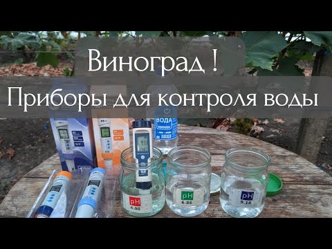 Your grapes will die without these devices! Calibration pH meter from China