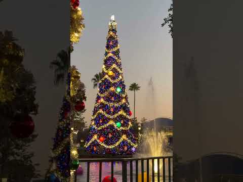 Tree lighting Hollywood studios Walt Disney world
