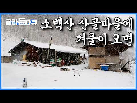“이런데도 살다보니까 어떻게든 살아지더라”｜외로움 별 거 없다는 소백산 산골마을의 겨울나기｜한국기행｜#골라듄다큐