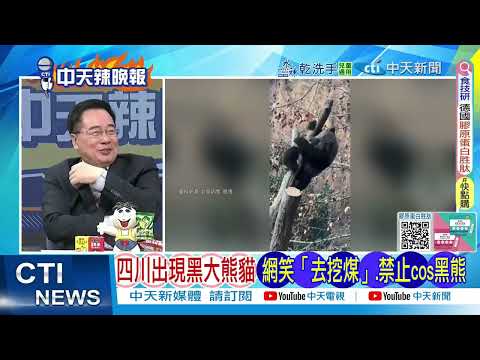 [Daily Must-Read] Black Giant Panda Spotted in Sichuan, Netizens Laugh "Going to Coal Mine," Cosp...