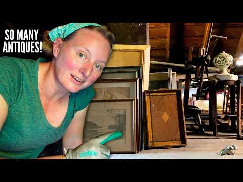 bought a house, got a hoarder's attic