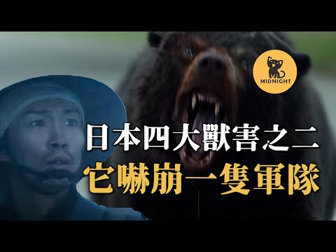 日本恐怖兇獸，一熊嚇崩300人的隊伍，獵人進山也詭異失蹤，日本駭人獸害