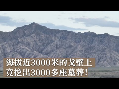 青藏高原海拔近3000米的荒漠戈壁之上 挖出3000多座规划明显 排列整齐的墓葬！《探索·发现》2024考古进行时 第四季 青海夏尔雅玛可布遗址发掘纪实（二）丨 中华国宝