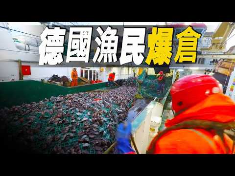 炸裂!德國漁民出海一趟直接爆倉165噸比目魚,深海捕魚是真正敢於冒險人的職業 #大脑洞记事