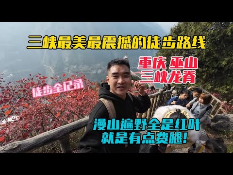徒步巫山三峽龍脊全記錄，三峽最美最震撼的徒步路線，滿山的紅葉似彩霞，風景很美，就是有點費腿！