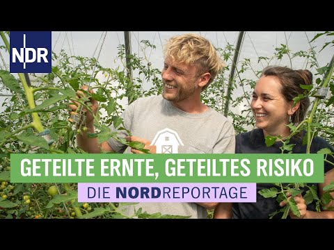 Solidarische Landwirtschaft - Gemeinsam ackern, gemeinsam ernten | Die Nordreportage | NDR