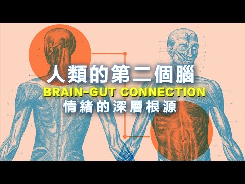The Mind-Gut Connection: How the Hidden Conversation Within Our Bodies Impacts Our Mood and Health