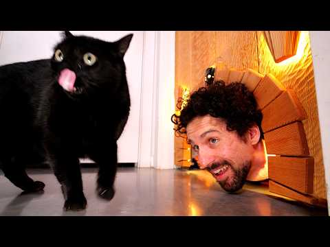 I Built an Overengineered Door for My Wobbly Cat