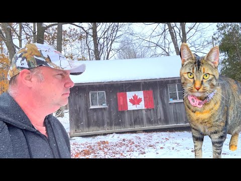 Barn Cat House Winterization