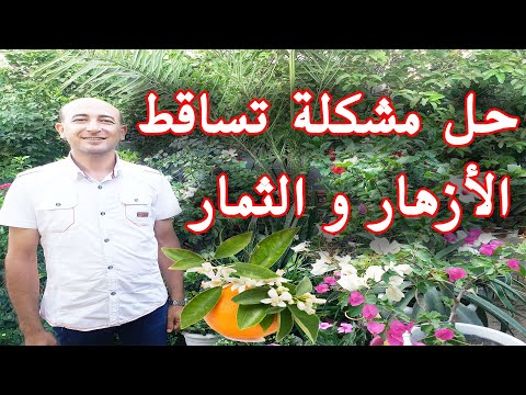 أسباب و حلول تساقط أزهار و ثمار الاشجار, حل مشكلة تساقط الازهار و الثمار, To Avoid Flowers Dropping