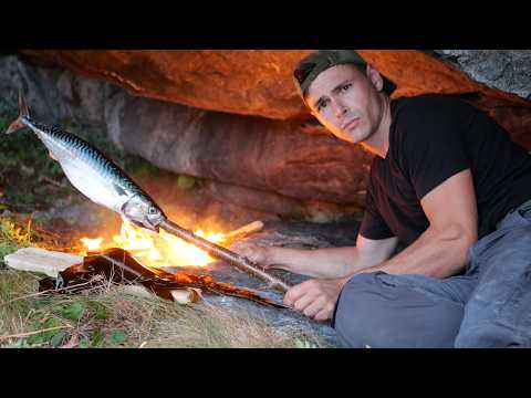 24h solo island survival - no food, no shelter