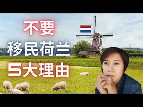 (Eng Subs) 荷兰 | 不要移民荷兰的原因 | Why you shouldn't move to the Netherlands