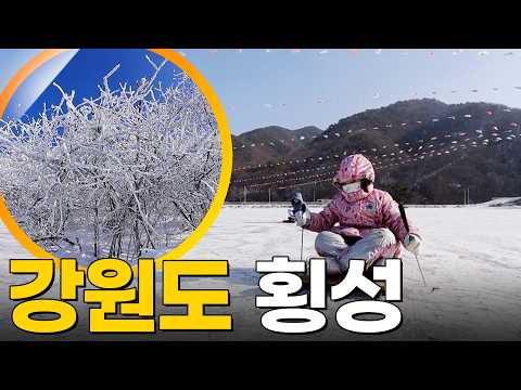 강원도 횡성 여행 [동네한바퀴] KBS 250118 방송