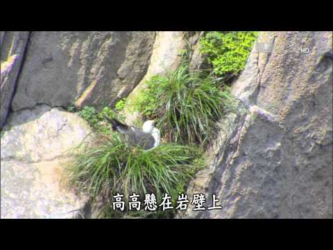 【紀錄新發現】20150801 - 馬祖