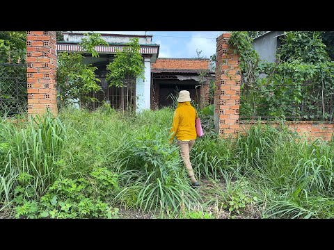 No one expected that the poor woman's old house would increase in profit after cleaning