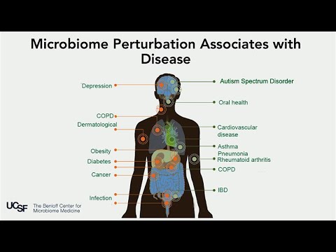 THE HUMAN MICROBIOME: A New Frontier in Health