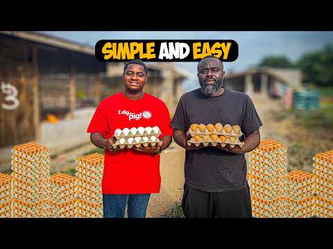 How To Start a 1,000 Capacity Poultry Farm in Ghana | Full Cost, Setup & Profit Breakdown