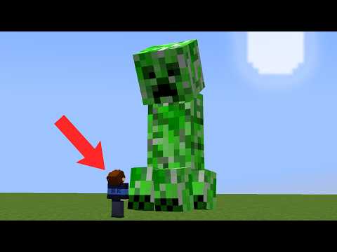 모든 몹의 크기가 랜덤인 야생