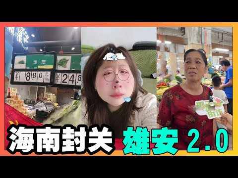 海南封关，雄安2.0！权力托举的经济，终将是昙花一现！8大理由给出最终烂尾的结论！【韭菜視頻】第447期