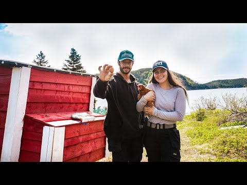 First Egg on the Island – Building a Self-Sufficient Life
