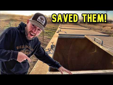 Prepping to Leave...Found This In Our Feeder!