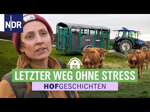 Dieser Viehtransport ist für Jessica und Steffen emotional | Hofgeschichten (357) | NDR