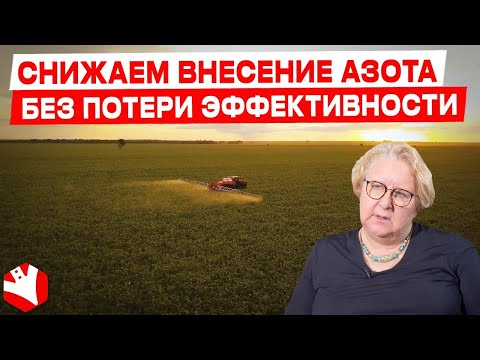 Снижаем внесение азота без потери эффективности | Растениеводство | КУЛЬТИВАТОР