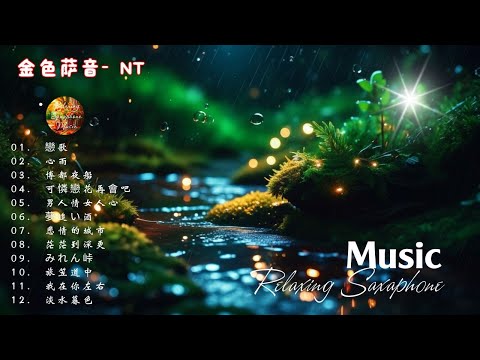 【100% 無廣告 ,放鬆音樂】薩克斯風輕音樂 往事難追憶 薩克斯風演奏 台語老歌 (漂浪之女.癡情台西港.快樂的出帆 .情難斷夢袂醒.想厝的人)