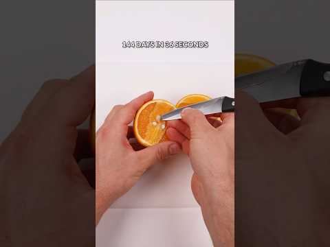 144 days in 36 seconds - Orange tree