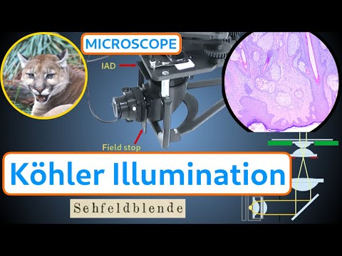 Köhler Illumination - How to build, collimate and use the Köhler Illuminator for the PUMA microscope