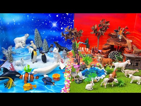 Animal Diorama Adventure! Learn All About Arctic, Dino, Sea & Farm Animals