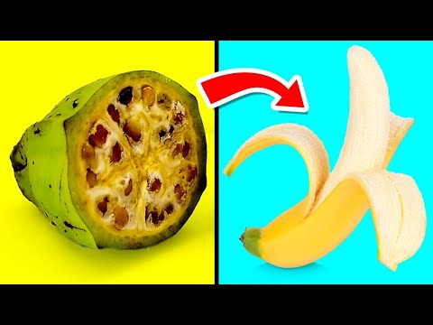 Foods That Originally Looked Totally Different