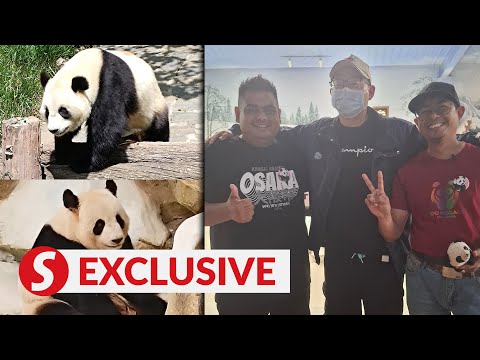 Pandas: Hard to say goodbye