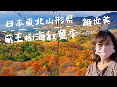 Japan【Yamagata Zao】Aerial Cable Car Surrounded by 360 Degrees of Autumn Leaves🍁