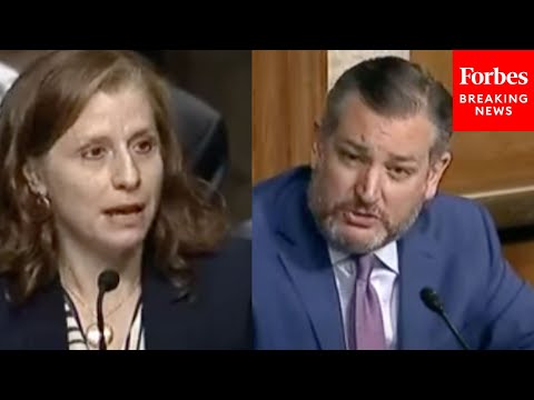 "I Don't Find That Answer Remotely Credible": Ted Cruz Grills Biden Nominee On Birth Tourism