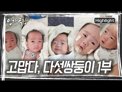 다섯쌍둥이라는 뜻밖의 소식에 크게 당황했던 부부, 하지만 디섯쌍둥이는 하늘이 내린 선물이었다 [인간극장] KBS 250512 방송