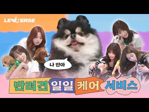 [LENIVERSE] Dog Petsitter: One-Day Pet Care Service l EP.59