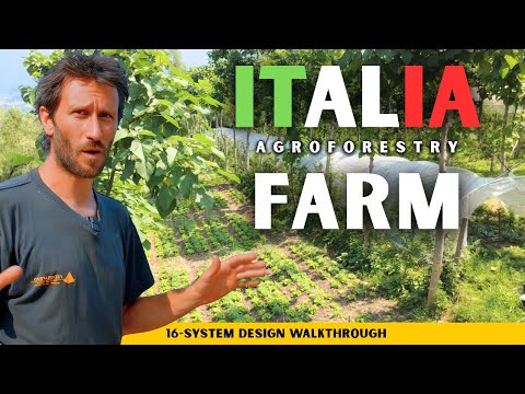 Farming Designed for the Future: Matteo Mazzola